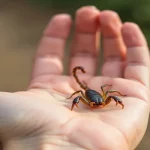 Rüyada akrep sokması teması