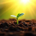 Rüyada at gübresi görmek, verimlilik ve bereketin sembolüdür. Zenginlik ve büyüme potansiyelini işaret eder.