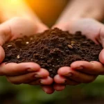 Rüyada at pisliği görmek, bereketli toprak ve şerefli kazanç sembolizması ile ilişkilendirilir.