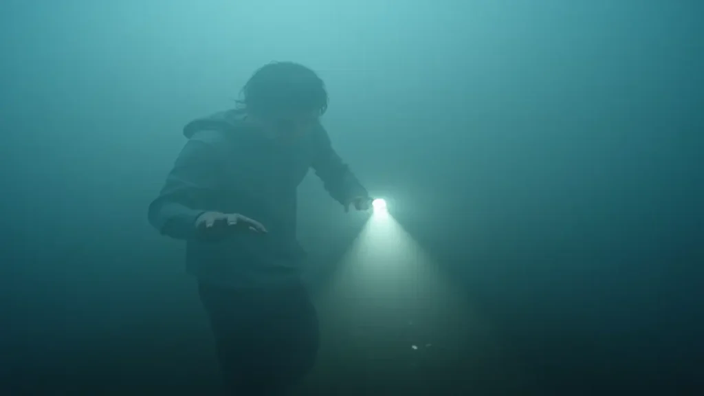 Rüyada bakarkörlük görmek, zihnin sisleri arasından sızan farkındalık ışığını sembolize eder. Gerçeği görmek için bazen fiziksel değil, içsel bir netliğe ihtiyaç duyarız.