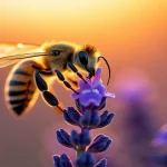 Rüyada bal arısı görmek, çalışkanlık ve kolektif çabanın getireceği bereketi simgeler. Altın saat ışığında lavanta üzerinde nektar toplayan bu bal arısı, rüyalardaki bolluk işaretini yansıtıyor.