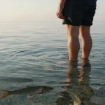 Rüyada Balık Görmek Ne Anlama Gelir?