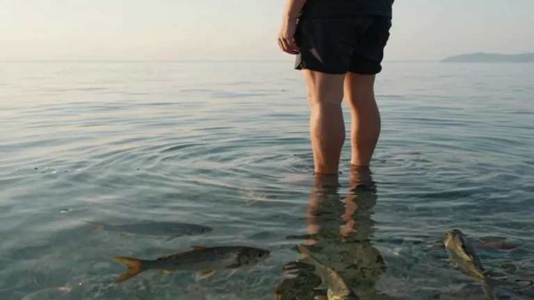 Rüyada Balık Görmek Ne Anlama Gelir?